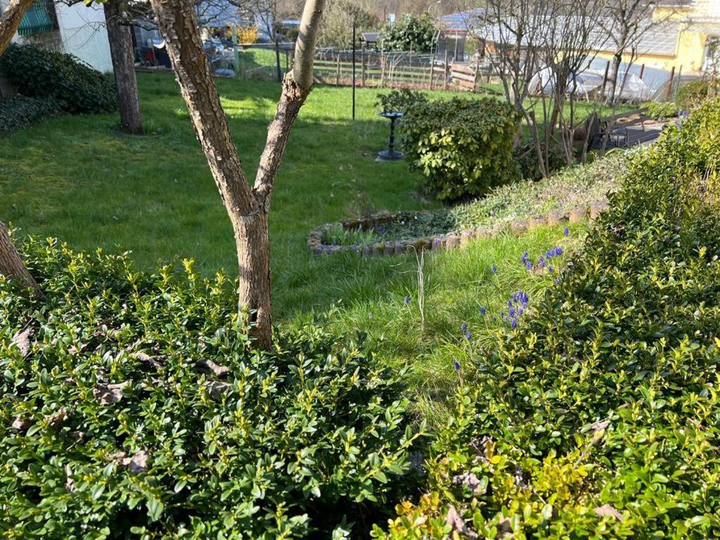 Ferien- Und Monteurwohnung Zum Waldblick Eksteriør bilde