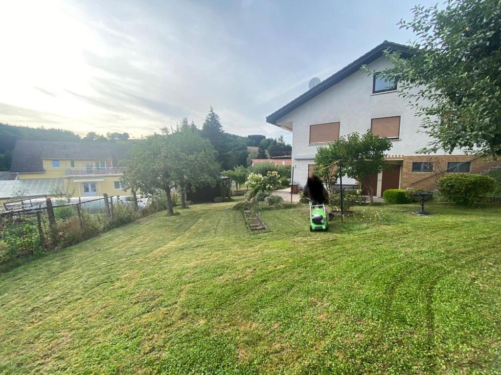 Ferien- Und Monteurwohnung Zum Waldblick Eksteriør bilde